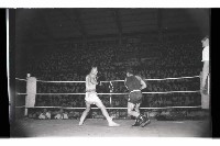 登錄號:KH2002.014.0096藏品圖，第3張