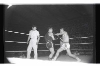 登錄號:KH2002.014.0096藏品圖，第4張