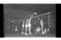 登錄號:KH2002.014.0097藏品圖，第7張