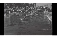 登錄號:KH2002.014.0103藏品圖，第30張