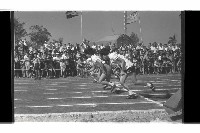 登錄號:KH2002.014.0103藏品圖，第53張