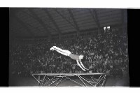 登錄號:KH2002.014.0106藏品圖，第24張