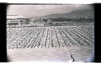 登錄號:KH2002.014.0107藏品圖，第30張