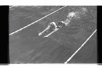 登錄號:KH2002.014.0109藏品圖，第16張