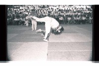 登錄號:KH2002.014.0112藏品圖，第6張