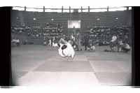 登錄號:KH2002.014.0112藏品圖，第7張