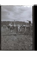 登錄號:KH2002.014.0114藏品圖，第18張