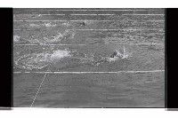 登錄號:KH2002.014.0115藏品圖，第8張