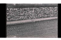 登錄號:KH2002.014.0115藏品圖，第10張