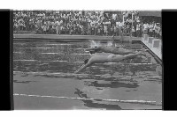 登錄號:KH2002.014.0115藏品圖，第18張