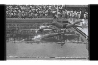 登錄號:KH2002.014.0115藏品圖，第28張