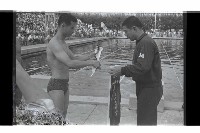 登錄號:KH2002.014.0115藏品圖，第30張