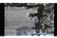 登錄號:KH2002.014.0116藏品圖，第21張