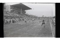 登錄號:KH2002.014.0116藏品圖，第50張