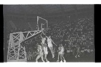 登錄號:KH2002.014.0117藏品圖，第11張