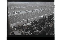 登錄號:KH2002.014.0120藏品圖，第13張