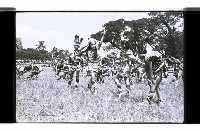 登錄號:KH2002.014.0127藏品圖，第18張