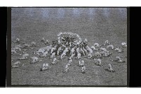 登錄號:KH2002.014.0145藏品圖，第9張