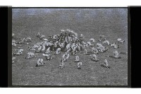 登錄號:KH2002.014.0145藏品圖，第10張