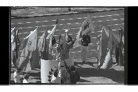 登錄號:KH2002.014.0147藏品圖，第15張