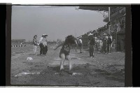 登錄號:KH2002.014.0154藏品圖，第22張