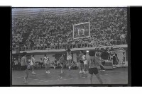 登錄號:KH2002.014.0169藏品圖，第7張