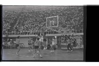 登錄號:KH2002.014.0169藏品圖，第9張