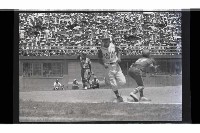 登錄號:KH2002.014.0174藏品圖，第20張