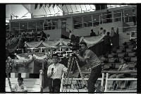 登錄號:KH2002.014.0183藏品圖，第19張