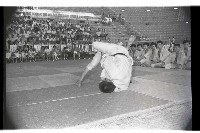 登錄號:KH2002.014.0190藏品圖，第8張