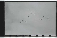 登錄號:KH2002.015.0010藏品圖，第16張