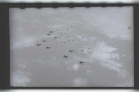 登錄號:KH2002.015.0032藏品圖，第5張