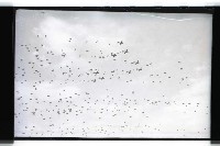 登錄號:KH2002.015.0032藏品圖，第9張