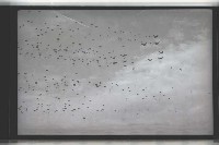 登錄號:KH2002.015.0032藏品圖，第10張
