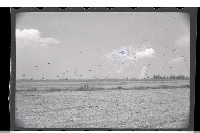 登錄號:KH2002.015.0036藏品圖，第23張