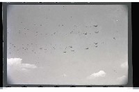 登錄號:KH2002.015.0036藏品圖，第27張