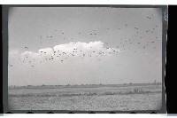 登錄號:KH2002.015.0036藏品圖，第28張