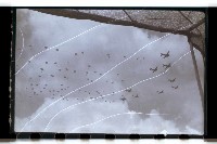 登錄號:KH2002.015.0041藏品圖，第14張