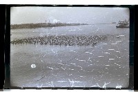 登錄號:KH2002.015.0045藏品圖，第7張