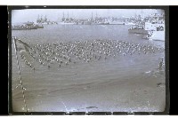 登錄號:KH2002.015.0045藏品圖，第13張