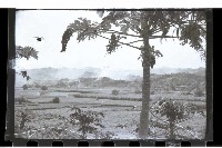 登錄號:KH2002.015.0046藏品圖，第7張