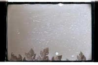 登錄號:KH2002.015.0046藏品圖，第12張