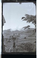 登錄號:KH2002.015.0046藏品圖，第15張