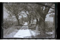 登錄號:KH2002.015.0046藏品圖，第20張