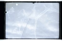 登錄號:KH2002.015.0050藏品圖，第16張