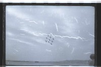 登錄號:KH2002.015.0050藏品圖，第24張
