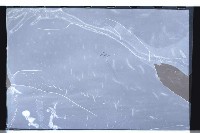 登錄號:KH2002.015.0050藏品圖，第26張