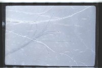 登錄號:KH2002.015.0050藏品圖，第29張