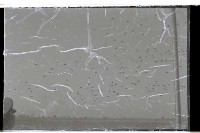 登錄號:KH2002.015.0052藏品圖，第11張