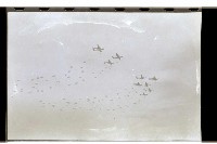 登錄號:KH2002.015.0063藏品圖，第34張